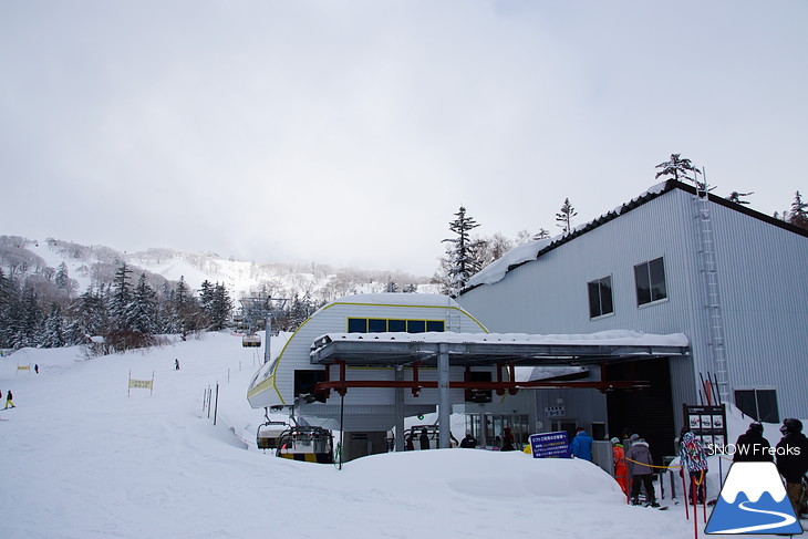 札幌国際スキー場 Welcome back POWDER SNOW !! ～パウダースノー復活～